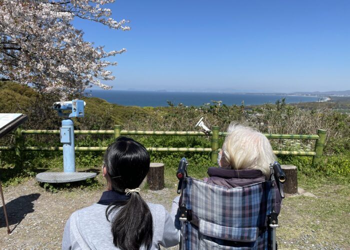 2026-04-08_13-50-44_243