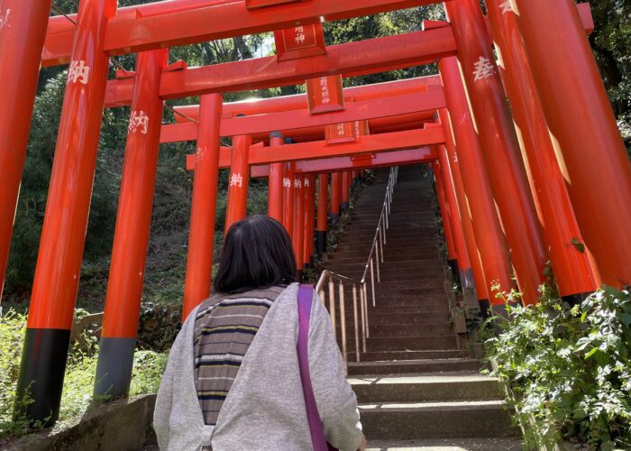 2026-04-08_14-09-58_171